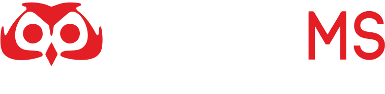 Visión MS Logo